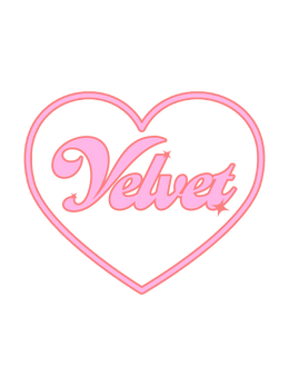 Shop VELVET Boutique
