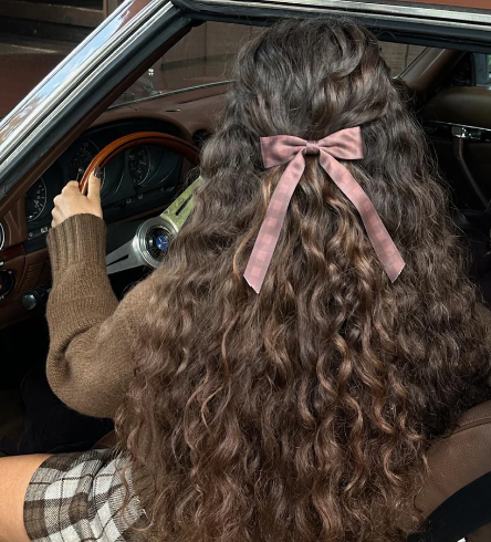 Emi Jay "Bow Barrette Hair Clip" in Fireside